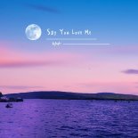Rina - Say You Love Me