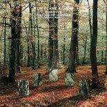 Lane 8 Feat. Channy Leaneagh - Survive (Grafix Remix)