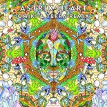 Astrix - Heart (Omiki & Terra Remix)