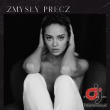Sylvia Novak - Zmysły Precz (Radio Edit)