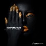 Deep Emotion - I Know You Want It (Extended Mix)