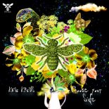 Kevo Krows - Choose Your Side (Original Mix)