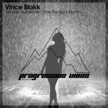 Vince Blakk - Tender Surrender (The Perfect Storm) (Original Mix)
