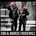 ZIBO & ANDRZEJ ROSIEWICZ - Najwięcej Witaminy Rmx Alchemist Project ( NOWOŚĆ 2022 )