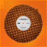 Armin van Buuren & Wildstylez Feat. PollyAnna - Typically Dutch (Extended VIP Mix)-1