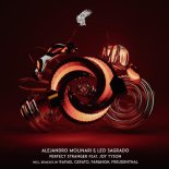 Alejandro Molinari & Joy Tyson feat. Leo Sagrado - Perfect Stranger (Freudenthal Remix)