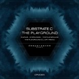 Substrate C - Icarus (Original Mix)