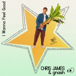 Chris James, gnash - I Wanna Feel Good