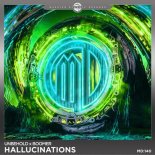 Unbehold & Boomer - Hallucinations