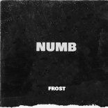 Frost - Numb