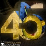 Vlada Asanin, Bilja Krstic - Caje Sukarije (Original Mix)