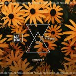 Nari, Steve Tosi - X-Press (Original Mix)