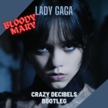 Lady Gaga - Bloody Mary (Crazy Decibels Bootleg)
