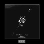 Luca Testa & Denis Kalytovskyi - Impossible (Hardstyle Remix)