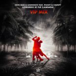 Dave Mak & Shemenzo Feat. Phany & Chempy - Llorando Se Fue (Lambada) (VIP Mix)