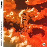 DIRECTA, BASTL & ZERO SUGAR - Numb (Extended Mix)