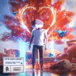 Whales & Roee Yeger Feat. Meggie York - It's Not Love