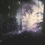 Nils Hoffmann Feat. Panama - Far Behind (Tibasko Extended Mix)