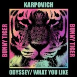 Karpovich - What You Like (Original Mix)