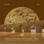 Anatolian Sessions & Danny Shamoun - Amida (Sasha Carassi Remix)