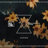 ReLight Orchestra - Stars (Original Mix)