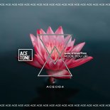 Nari & Steve Tosi - Rock You Up (Original Mix)