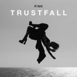P!NK - TRUSTFALL (ANDREA CECCHINI, STEVE AMARTIN, SANDRO POZZI BOOTLEG)