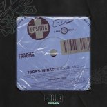 Fragm - Toca's Miracle (Willo Remix)