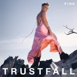 Pink Feat. The Lumineers - Long Way to Go