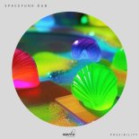 Spacefunk Dub - Possibility (Extended Mix)