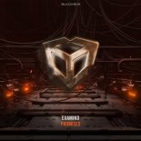 Examind - Promises