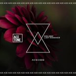 Nari, Lissat - Lady Romance (Original Mix)