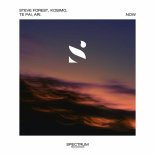 Steve Forest Feat. Kosimo Te Pai & Ari. - Now