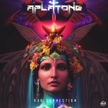 Aplatone - Our Connection