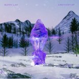 Sunny Lax - The Future