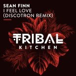 Sean Finn - I Feel Love (Discotron Extended Remix)