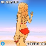 Ben Banjo Field - A Perfect Love (Original Mix)