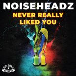 Noiseheadz - Never Really Liked You