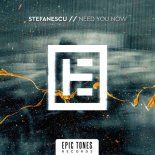 Stefanescu - Need You Now