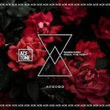 Sandro Puddu - Rock The Night (Original Mix)