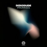 Dizkodude - Promises