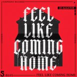 DJ Aligator - Feel Like Coming Home (Extended Mix)