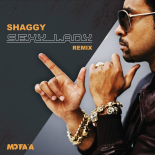 Shaggy - Hey Sexy Lady (Mo'Faya Remix)