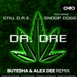 Dr. Dre feat. Snoop Dogg - Still D.R.E. (Butesha & Alex Dee Extended Mix)