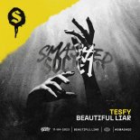 TESFY - Beautiful Liar (Extended Mix)