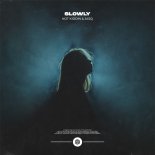 Not Kiddin & Jasq - Slowly (Extended Mix)
