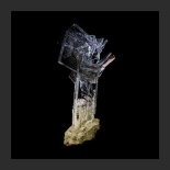 Presia - Brizz (Original Mix)