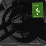 Mike Candys - Tell You (Extended Mix)
