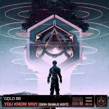 Gold 88 - You Know Why (Don Diablo Extended Edit)