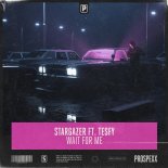 Stargazer Feat. TESFY - Wait For Me